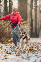 Собаки и кошки в добрые руки