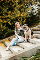 Собаки и кошки в добрые руки