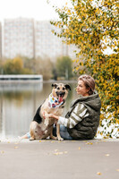 Собаки и кошки в добрые руки