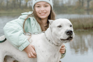 Собаки и кошки в добрые руки