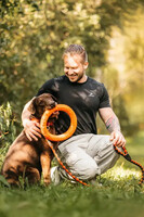 Собаки и кошки в добрые руки