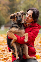 Собаки и кошки в добрые руки