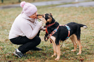 Собаки и кошки в добрые руки
