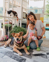 Собаки и кошки в добрые руки