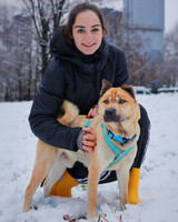 Собаки и кошки в добрые руки