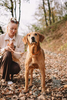 Собаки и кошки в добрые руки