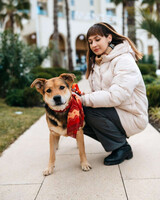 Собаки и кошки в добрые руки