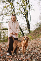 Собаки и кошки в добрые руки