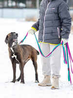 Собаки и кошки в добрые руки