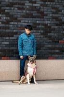 Собаки и кошки в добрые руки