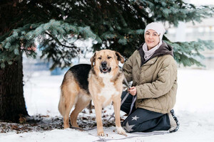 Собаки и кошки в добрые руки