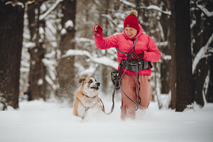Собаки и кошки в добрые руки
