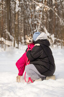 Собаки и кошки в добрые руки