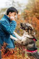 Собаки и кошки в добрые руки