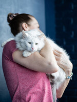 Собаки и кошки в добрые руки