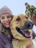 Собаки и кошки в добрые руки