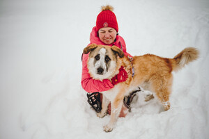 Собаки и кошки в добрые руки