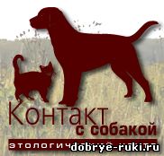 центр Контакт с собакой