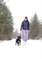 Собаки и кошки в добрые руки