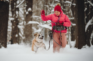 Собаки и кошки в добрые руки
