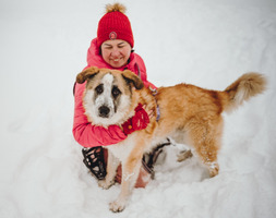 Собаки и кошки в добрые руки
