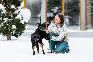 Собаки и кошки в добрые руки