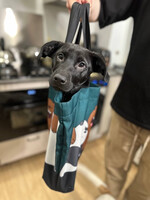 Собаки и кошки в добрые руки