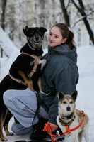 Собаки и кошки в добрые руки