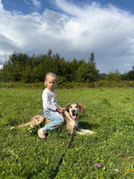 Собаки и кошки в добрые руки