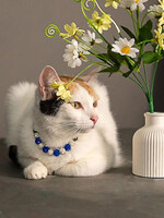 Собаки и кошки в добрые руки