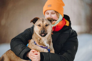 Собаки и кошки в добрые руки