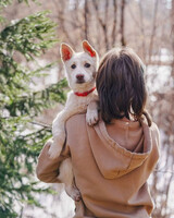 Собаки и кошки в добрые руки