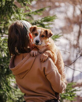 Собаки и кошки в добрые руки