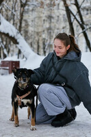 Собаки и кошки в добрые руки