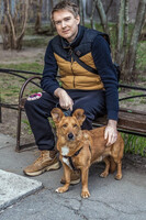 Собаки и кошки в добрые руки