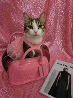 Собаки и кошки в добрые руки