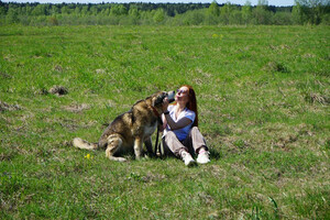 Собаки и кошки в добрые руки