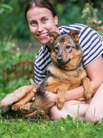 Собаки и кошки в добрые руки
