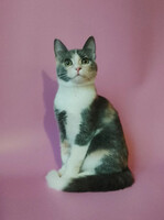Собаки и кошки в добрые руки